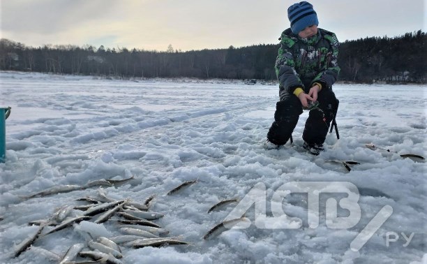 Сахалинским рыбакам-любителям запретили ловить больше 300 корюшек в сутки