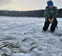 Сахалинским рыбакам-любителям запретили ловить больше 300 корюшек в сутки