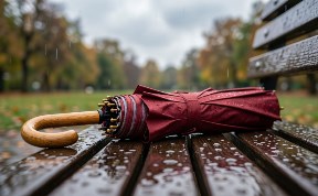 Общество