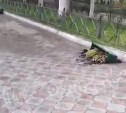 "Ущерб в 300 тысяч": вандалы в Охе выкорчевали почти все вазоны с цветами на ул. Ленина
