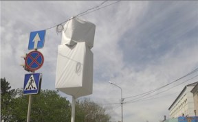 Общество