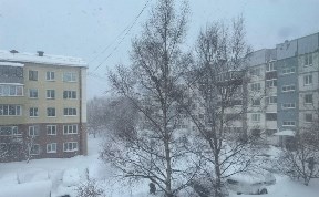 Общество