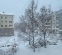 Местами метель: синоптики уточнили прогноз погоды на юге Сахалина на 7 февраля