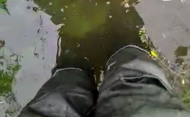 Сахалинец показал на видео свой огород после наводнения, стоя по колено в воде