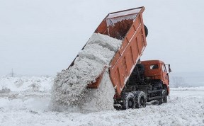 Общество