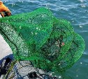 Браконьерство на Буссе: во время рейда в лагуне обнаружили свыше 100 ловушек