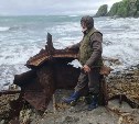 Эхо Второй мировой: на Шумшу ученые нашли новый фрагмент затонувшего танкера "Мариуполь"