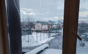 Общество