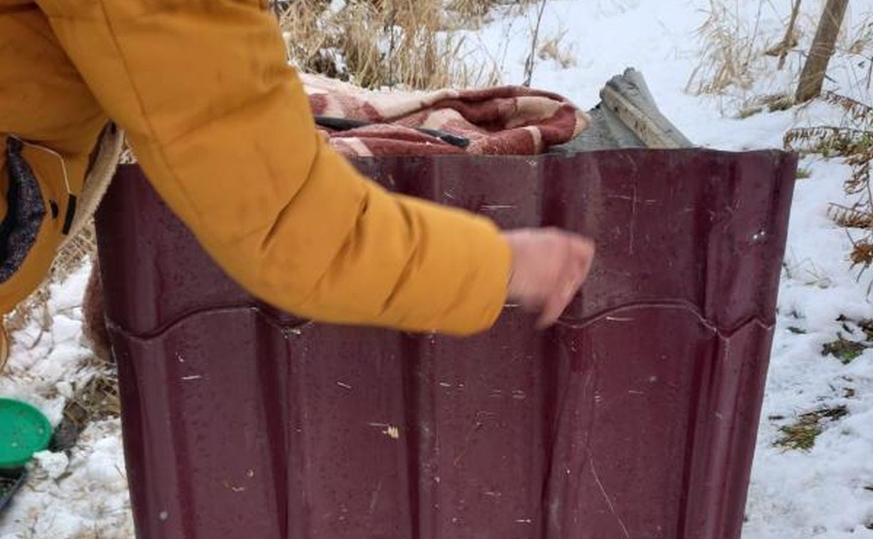 В Южно-Сахалинске неизвестные заколотили будку с бездомными щенками внутри