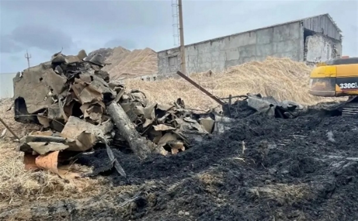 В порт-ковше Чехова приступили к утилизации утонувшего судна 