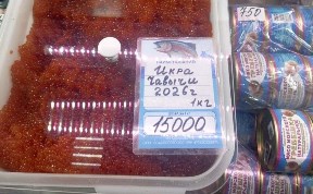 Общество