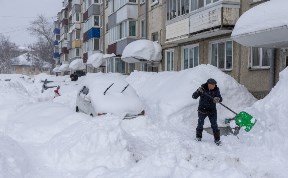 Общество