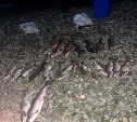 У сахалинских браконьеров за неделю забрали 334 килограмма незаконного улова