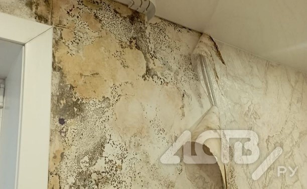 Сахалинка добивается срочного капремонта в доме, в котором "плачет" её квартира