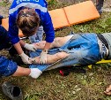 Водителя КамАЗа зажало в кабине после опрокидывания на дороге Курильск — Буревестник