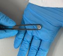 Сахалинские учёные разрабатывают аноды для аккумуляторов из морских водорослей