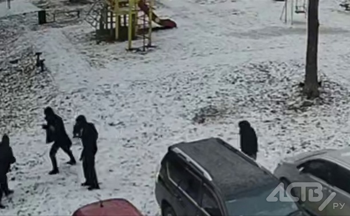 Нетрезвые сахалинцы прокатились на "Лексусе" по детской площадке и напали на очевидца — видео