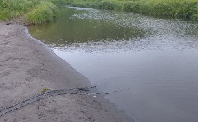 Происшествия