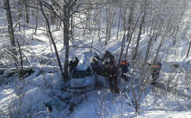 Девушка оказалась зажата в вылетевшем в кювет автомобиле в пригороде Южно-Сахалинска