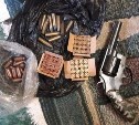 Полицейские отобрали пистолет и револьвер у южносахалинца