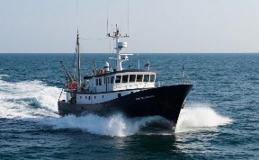 Происшествия