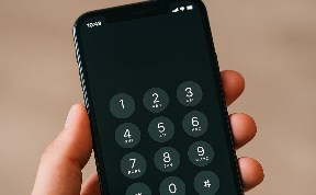 Общество