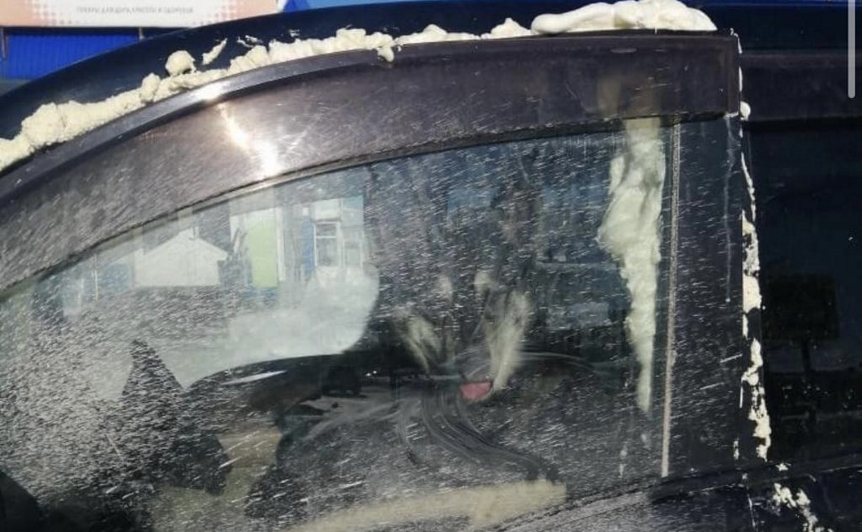 Собака в Долинске второй день сидит в запертой машине