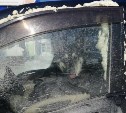 Собака в Долинске второй день сидит в запертой машине