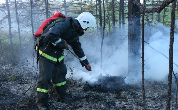 Пожар в районе Мицулевки полностью ликвидирован