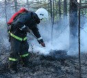 Пожар в районе Мицулевки полностью ликвидирован