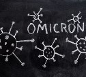 Российский вирусолог: "омикрон" – это последний штамм коронавируса, пандемия заканчивается