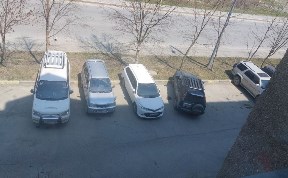 Общество