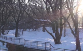 Общество