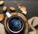 Сахалинцев приглашают сделать кофейный глобус ко Дню учителя