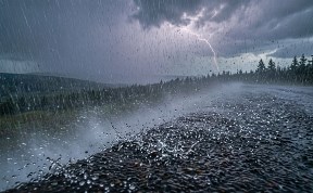 Происшествия