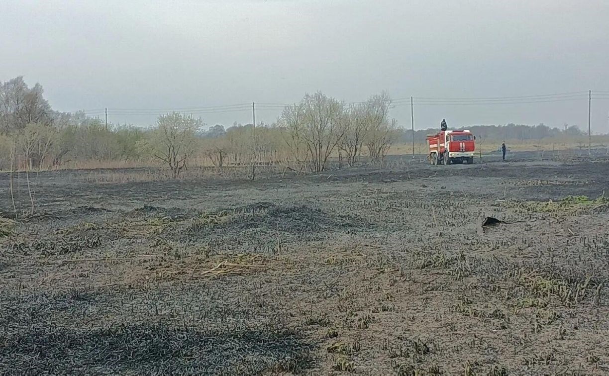 Вспыхнувший возле железной дороги пожар едва не дошёл до леса на юге Сахалина