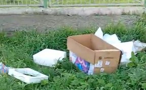 Общество