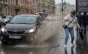 Общество