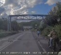 Мужчина на Камчатке помог школьницам убежать от медведя