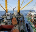 При содействии областных властей рыбокомбинат «Островной» возобновил переработку сайры