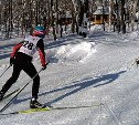 В открытии лыжного сезона в областном центре приняли участие 250 человек