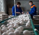 Супермаркеты Южно-Сахалинска перед Пасхой  завышают цены на яйца в 2 раза