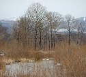  В Луговом обустроят прогулочную тропу с видовыми качелями вдоль реки