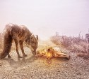 Гороскоп на 24 июля: Рак начинает командовать, Льва лучше не трогать