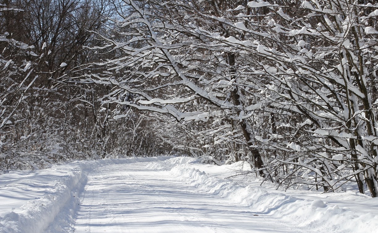 Жители сёл тратят тысячи рублей на такси до Тымовского, потому что автобусы отменили