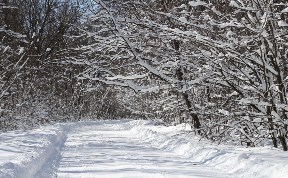 Происшествия