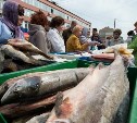 Опубликован список торговых мест в Сахалинской области для рыбаков-любителей