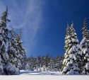 Во всех районах – снег или дождь: прогноз погоды для Сахалинской области на 23 ноября