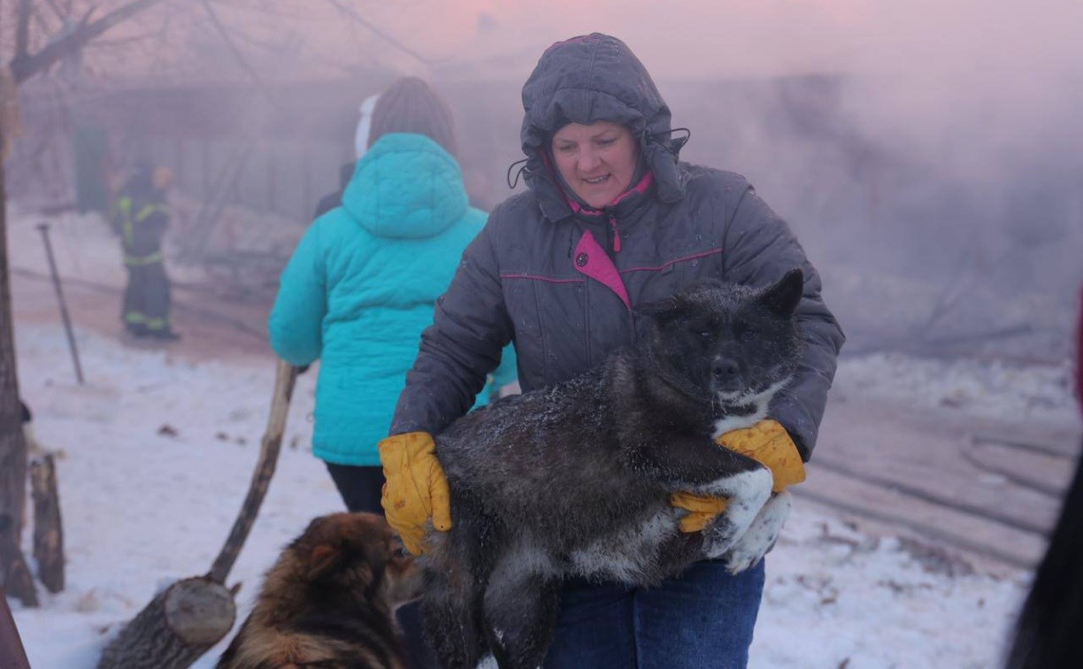 Пострадали кошки, собак успели выгнать из вольеров: подробности пожара в сахалинском приюте