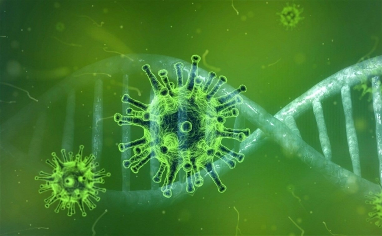 На Сахалине подтвердили 12-й случай заражения новым коронавирусом